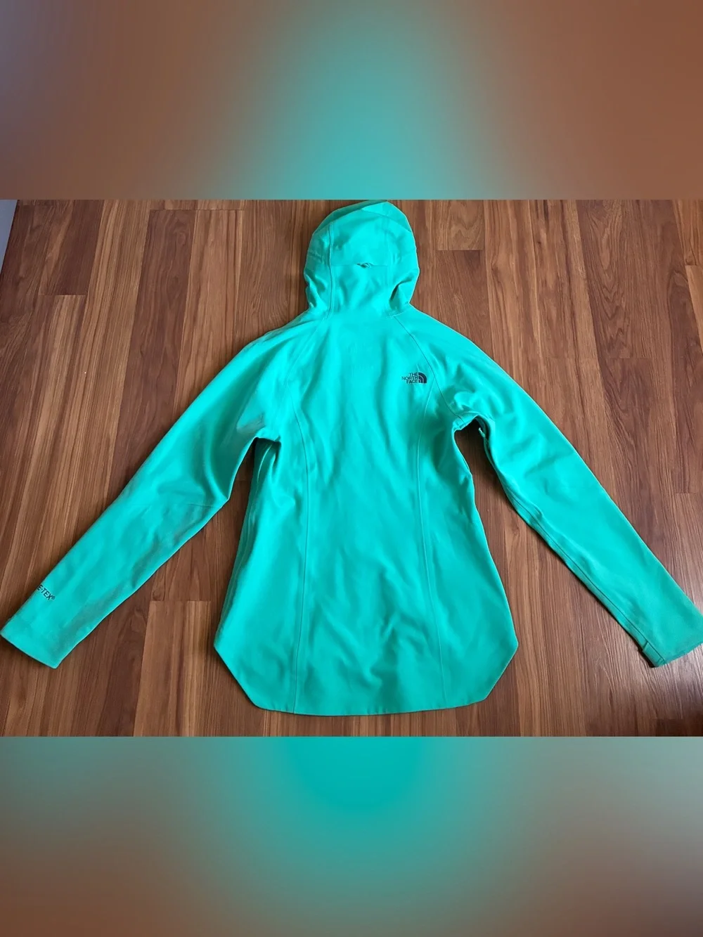 The North Face Women's Apex Flex GTX Gore-Tex Waterproof Jacket Size XS Teal